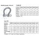 Anchor Shackle, Type Ω, Inox 316