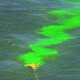 Sea Dye Marker