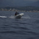 Agilis 330C jet rib yacht tender