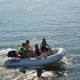 Freestyle Tender F390 with Aluminium Floorboards