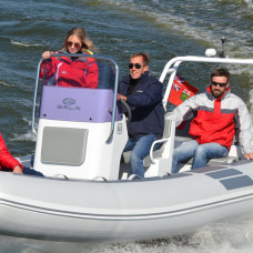 Viking V550 
