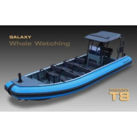 Galaxy Trident T8 Professional Aluminium RIB