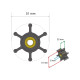 Ballast impeller pump