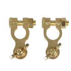 Battery terminals with wing-nut
