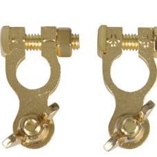 Battery terminals with wing-nut