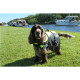Besto Dog buoyancy aid Deluxe