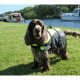 Besto Dog buoyancy aid Deluxe