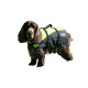 Besto Dog buoyancy aid Deluxe