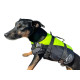 Besto Dog buoyancy aid Deluxe