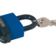 Brass padlock