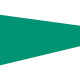 Customs flag