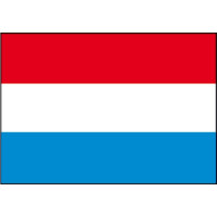Dutch flags