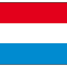 Dutch flags