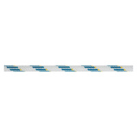 Dynamic