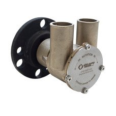 Engine cooling pumps crank shaft