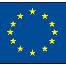 European flag