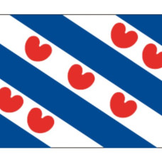 Frisian flags