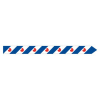 Frisian pennant
