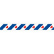 Frisian pennant