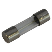 Glass fuses