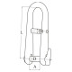 Halyard shackles