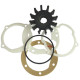 Impellers - Replacement Johnson