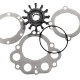 Impellers - Replacement Westerbeke