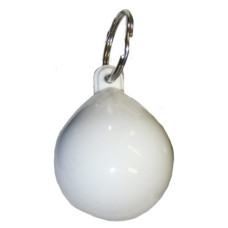 Key ring buoy