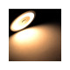 LED Construction Downlight