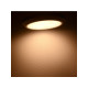 LED Construction Downlight