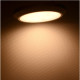 LED Construction Downlight