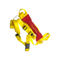 Lifting harness for outboard engines
