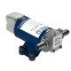 Oil / Diesel pump