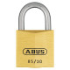 Padlocks Brass keyed alike