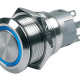 Push switch with lighting