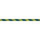 Racing Dyneema®