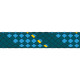 Racing Dyneema®