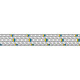 Shock cord