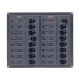 Switch panel with fuses