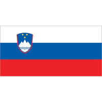 Slovenian Flag