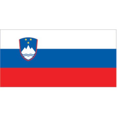 Slovenian Flag