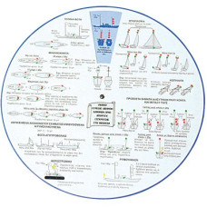 Guide for Collision Regulations, ‘Abacus’