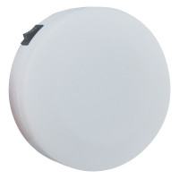Dome Light, with 3-Position Switch