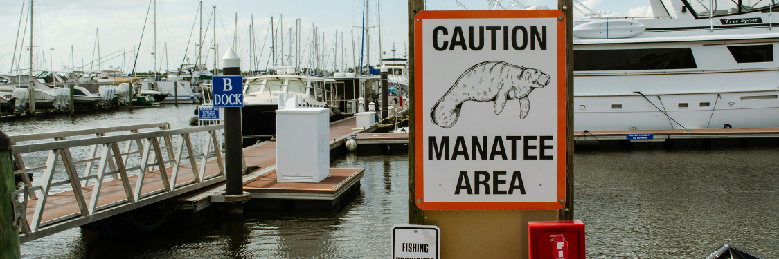 Be careful - this is the habitat of sea cows